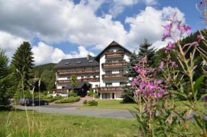 Hotel Thüringer Wald in Ilmenau, Ilm-Kreis